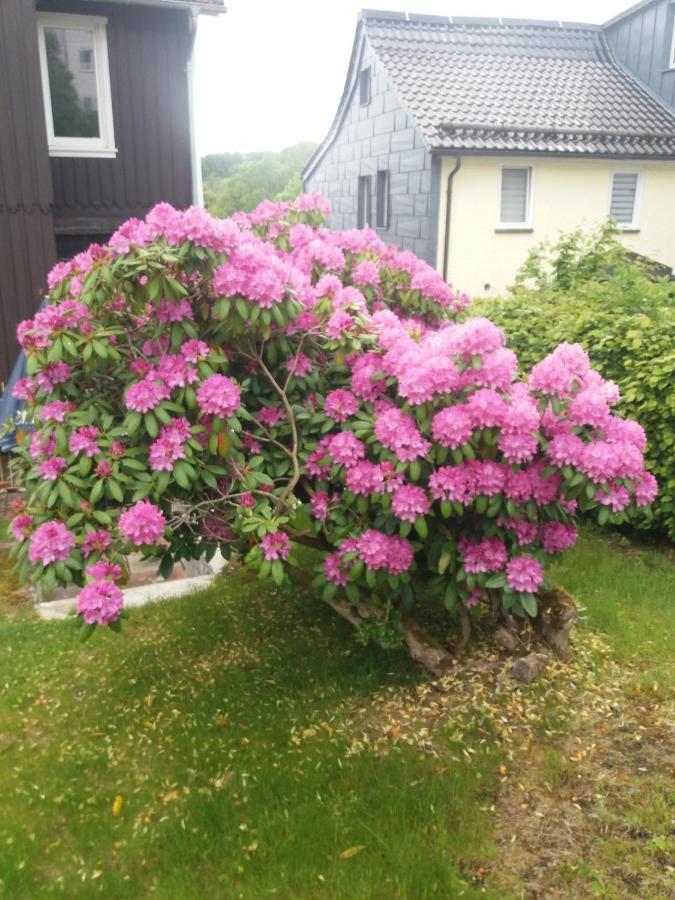 Haus Bergeshoeh Braunlage Bagian luar foto
